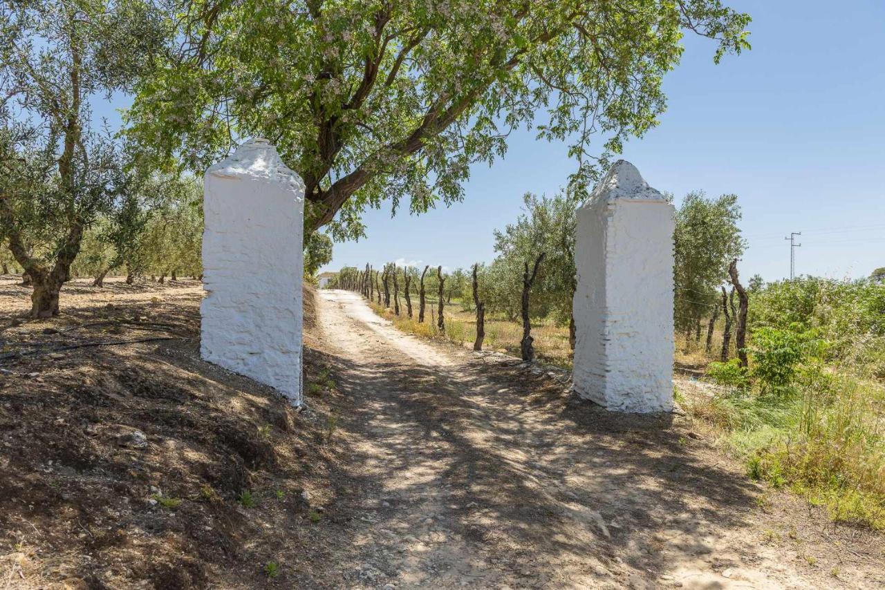 Villa Hacienda San Antonio Marchena  Exterior foto